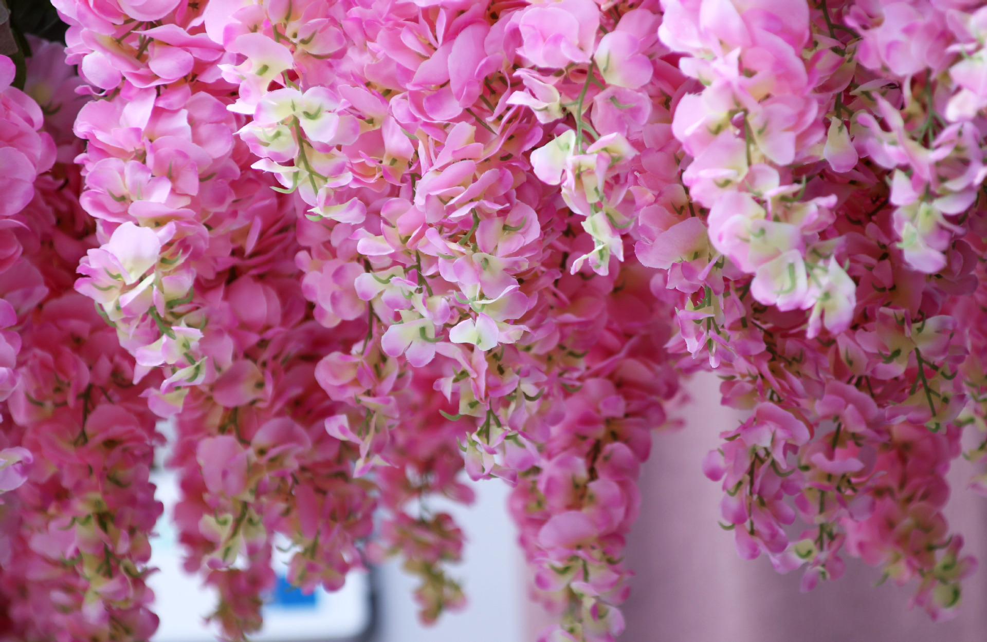 Silk cloth simulation flower bean flower wedding condole ceiling false flower simulation wisteria wholesale