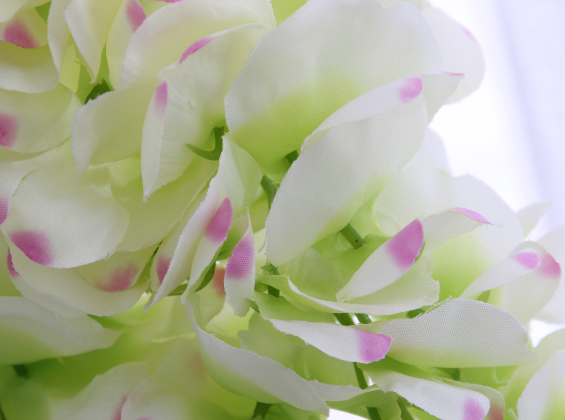 Silk cloth simulation flower bean flower wedding condole ceiling false flower simulation wisteria wholesale