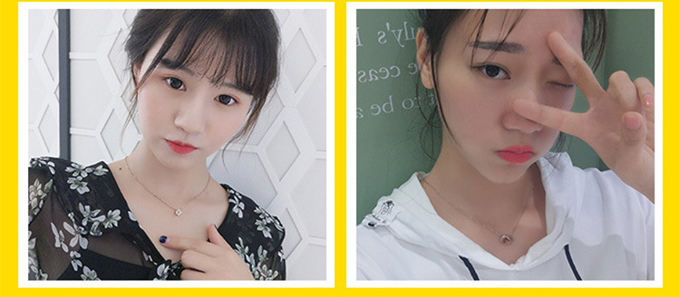Japanese and Korean Style Ornament TikTok Same Style Internet Celebrity Four-Leaf Clover Pendant Titanium Steel Necklace Female Swan Clavicle Chain Letter Necklace