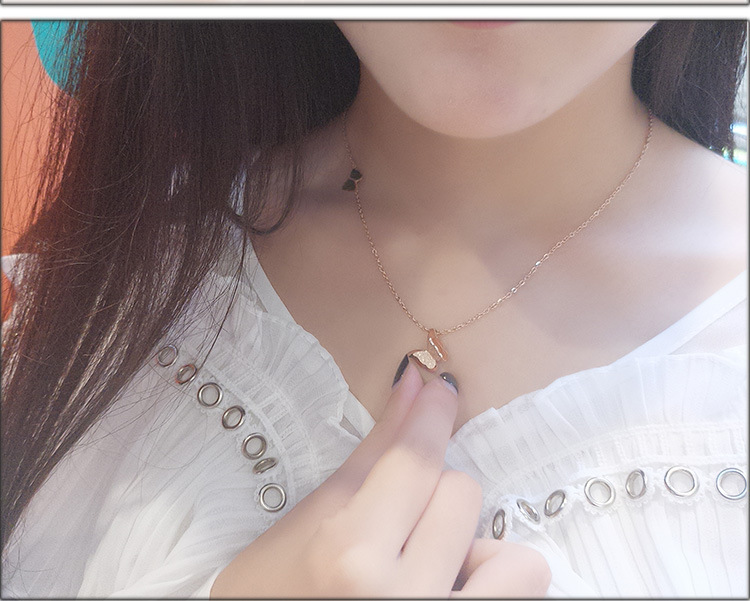 Japanese and Korean Style Ornament TikTok Same Style Internet Celebrity Four-Leaf Clover Pendant Titanium Steel Necklace Female Swan Clavicle Chain Letter Necklace