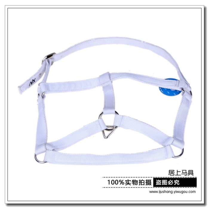Headgear Ribbon Horse Halter Riding Horse Halter Equestrian Horse Equipment