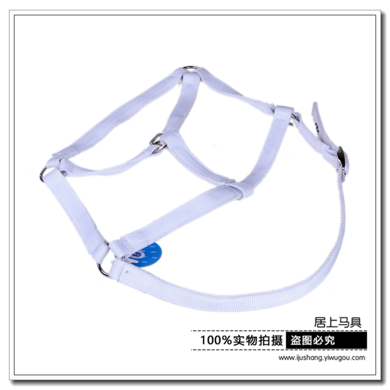 Headgear Ribbon Horse Halter Riding Horse Halter Equestrian Horse Equipment