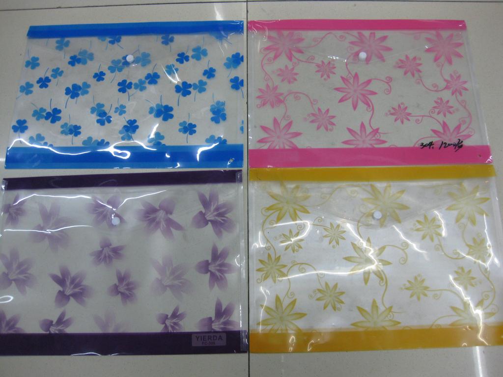 File bag, file bag, folder
