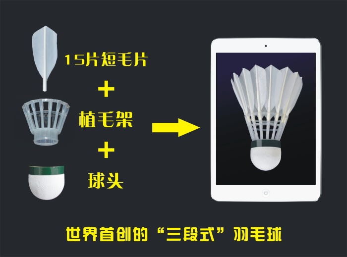 Manufacturers direct "three stage" badminton Manufacturers direct "three stage" badminton