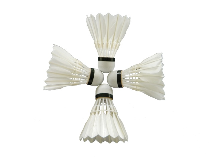 Manufacturers direct "three stage" badminton Manufacturers direct "three stage" badminton