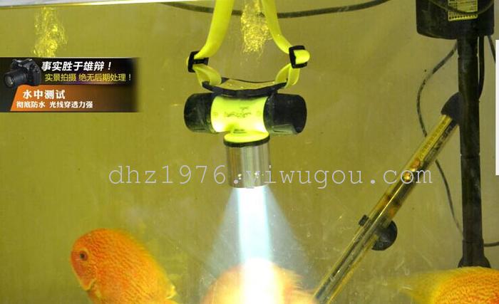 Head lamp, wearing a diving shot from strong light lamp light hunting lamp 10W charging T6 fishing lithium-ion 18650 Head lamp, wearing a diving shot from strong light lamp light hunting lamp 10W charging T6 fishing lithium-ion 18650