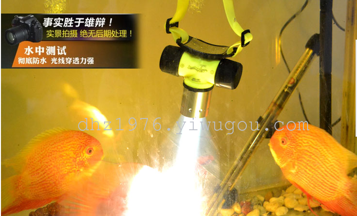 Head lamp, wearing a diving shot from strong light lamp light hunting lamp 10W charging T6 fishing lithium-ion 18650 Head lamp, wearing a diving shot from strong light lamp light hunting lamp 10W charging T6 fishing lithium-ion 18650