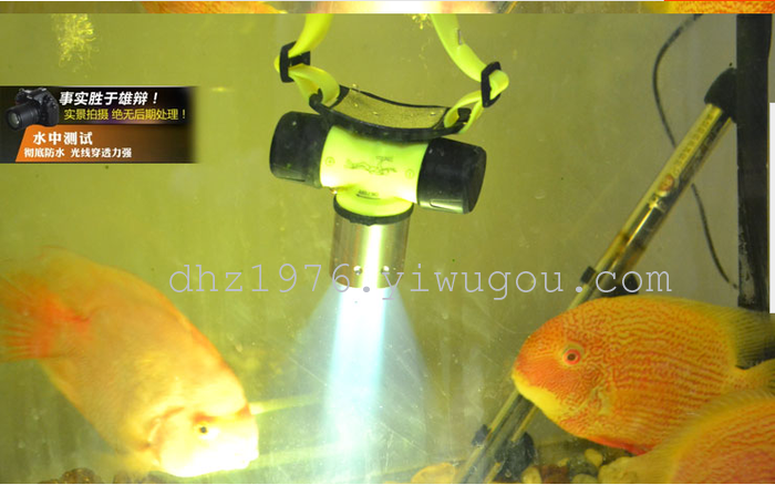 Head lamp, wearing a diving shot from strong light lamp light hunting lamp 10W charging T6 fishing lithium-ion 18650 Head lamp, wearing a diving shot from strong light lamp light hunting lamp 10W charging T6 fishing lithium-ion 18650