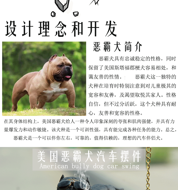 Car bully dog set up a car creative cool trend personality social dog Car bully dog set up a car creative cool trend personality social dog