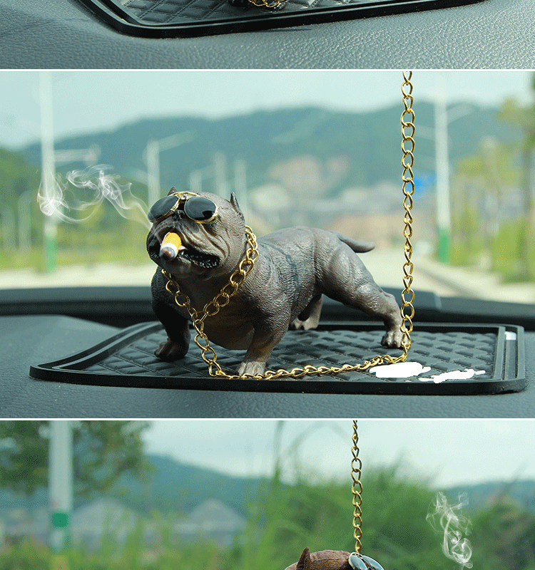 Car bully dog set up a car creative cool trend personality social dog Car bully dog set up a car creative cool trend personality social dog