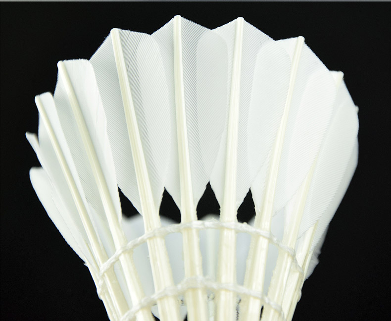 Badminton 12-Piece Durable King Training Ball Durable Outdoor Indoor Goose Feather Thick Pen Game-Specific Badminton 12-Piece Durable King Training Ball Durable Outdoor Indoor Goose Feather Thick Pen Game-Specific