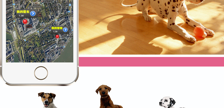 Pet dog cat GPS GPS Mini locator tracker anti lost positioning collar animal remote monitoring Pet dog cat GPS GPS Mini locator tracker anti lost positioning collar animal remote monitoring