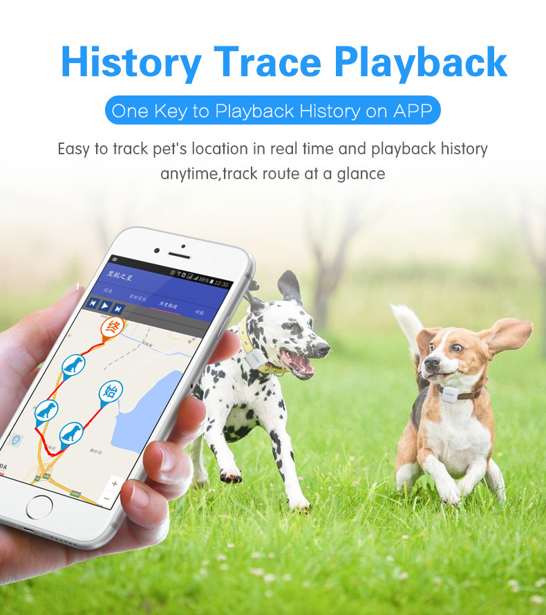 Wholesale GPS Locator Pet Tracker Pet GPS Tracker Electronic Fence Wholesale GPS Locator Pet Tracker Pet GPS Tracker Electronic Fence