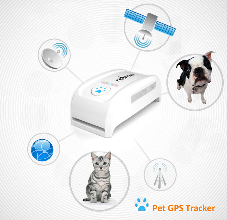 The pet dog GPS satellite locator to prevent loss of anti lost pet collar location tracker tracker The pet dog GPS satellite locator to prevent loss of anti lost pet collar location tracker tracker