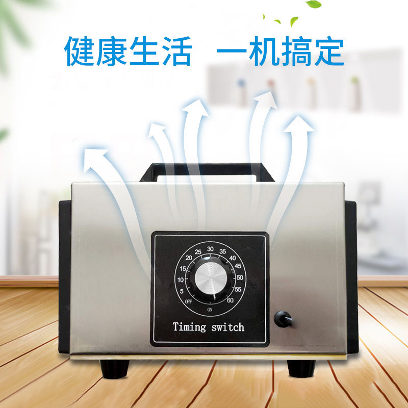 220V110V 20 Gh Ozone Generator with Timer Wind Cover Guard Net Sterilization Disinfection Fixed
