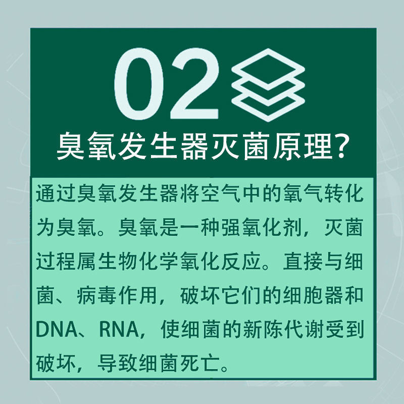220V110V 20 Gh Ozone Generator with Timer Wind Cover Guard Net Sterilization Disinfection Fixed