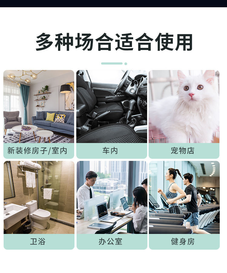 220V110V 20 Gh Ozone Generator with Timer Wind Cover Guard Net Sterilization Disinfection Fixed