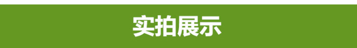 Deflatable Design 360 Degree Rotating High Precision Dial Tire Pressure Gauge Tire Pressure Gauge Factory Direct Sales