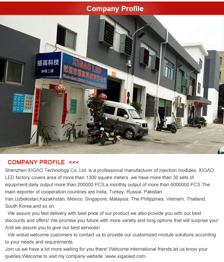LED injection module manufacturer hot selling COB 2.4W 12V colorful lens for advertising sign motorcycle car light 