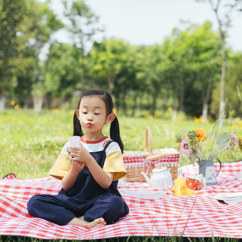 High-Profile Figure Picnic Mat Thickened Outdoor Floor Mat Placemat Portable Moisture Proof Pad Picnic Blanket Foldable Waterproof Camping