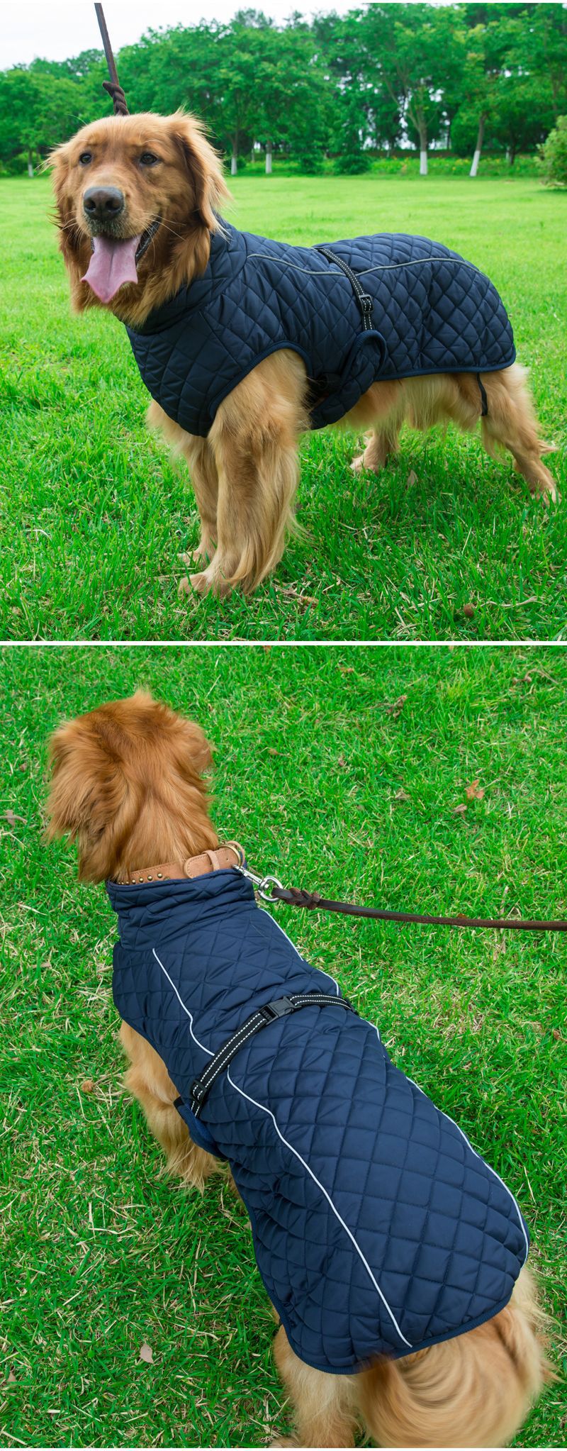 V · Pet · B · R Autumn and Winter Large Dog Dog Cotton-Padded Clothes Cross-Border Pet Outdoor Shell Jacket Reflective Warm Clothes V · Pet · B · R Autumn and Winter Large Dog Dog Cotton-Padded Clothes Cross-Border Pet Outdoor Shell Jacket Reflective Warm Clothes