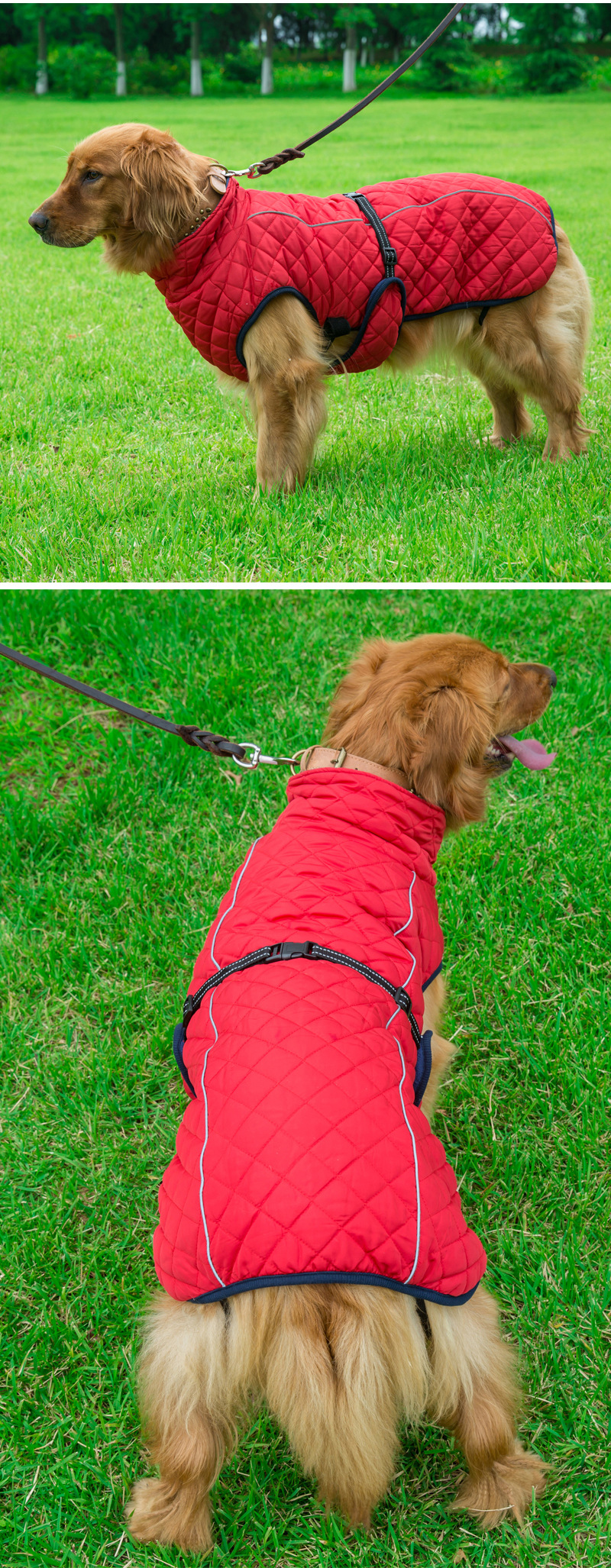 V · Pet · B · R Autumn and Winter Large Dog Dog Cotton-Padded Clothes Cross-Border Pet Outdoor Shell Jacket Reflective Warm Clothes V · Pet · B · R Autumn and Winter Large Dog Dog Cotton-Padded Clothes Cross-Border Pet Outdoor Shell Jacket Reflective Warm Clothes
