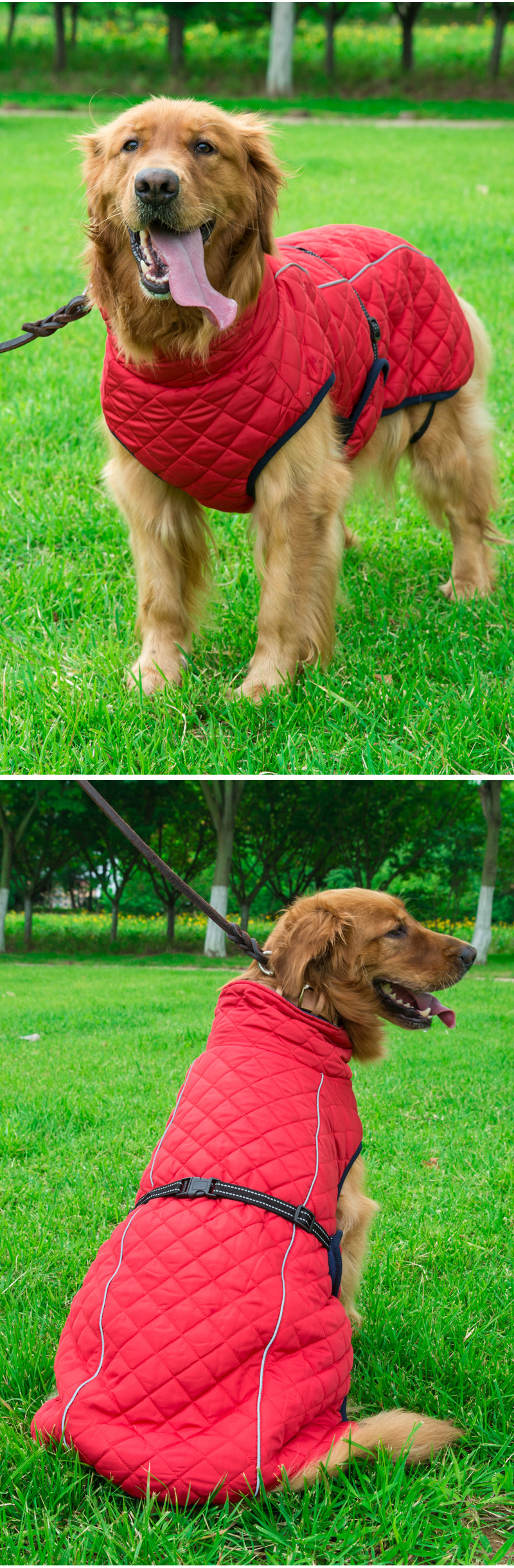 V · Pet · B · R Autumn and Winter Large Dog Dog Cotton-Padded Clothes Cross-Border Pet Outdoor Shell Jacket Reflective Warm Clothes V · Pet · B · R Autumn and Winter Large Dog Dog Cotton-Padded Clothes Cross-Border Pet Outdoor Shell Jacket Reflective Warm Clothes