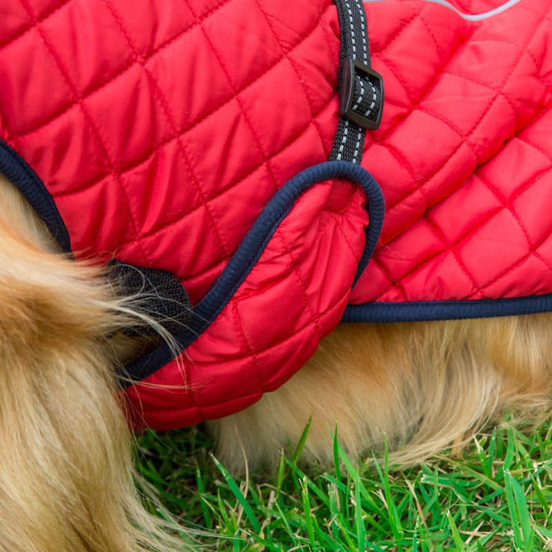 V · Pet · B · R Autumn and Winter Large Dog Dog Cotton-Padded Clothes Cross-Border Pet Outdoor Shell Jacket Reflective Warm Clothes V · Pet · B · R Autumn and Winter Large Dog Dog Cotton-Padded Clothes Cross-Border Pet Outdoor Shell Jacket Reflective Warm Clothes