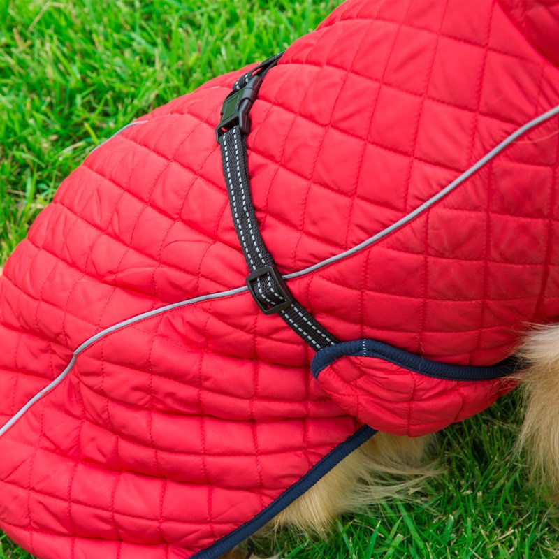 V · Pet · B · R Autumn and Winter Large Dog Dog Cotton-Padded Clothes Cross-Border Pet Outdoor Shell Jacket Reflective Warm Clothes V · Pet · B · R Autumn and Winter Large Dog Dog Cotton-Padded Clothes Cross-Border Pet Outdoor Shell Jacket Reflective Warm Clothes