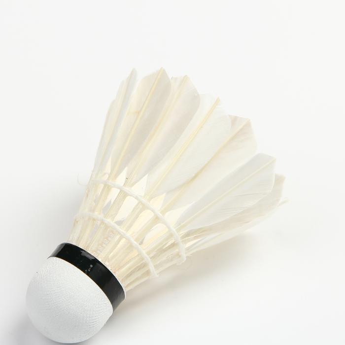 20114 explosion models Lai Lai playing badminton factory direct sales 20114 explosion models Lai Lai playing badminton factory direct sales