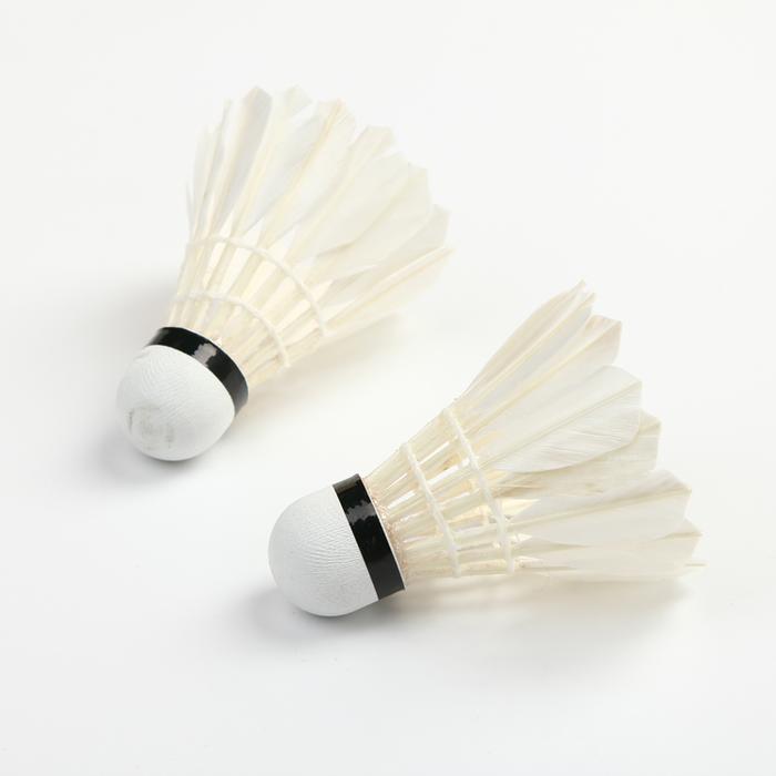 20114 explosion models Lai Lai playing badminton factory direct sales 20114 explosion models Lai Lai playing badminton factory direct sales