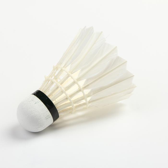 Hot style rely on rely on playing badminton factory direct sales Hot style rely on rely on playing badminton factory direct sales