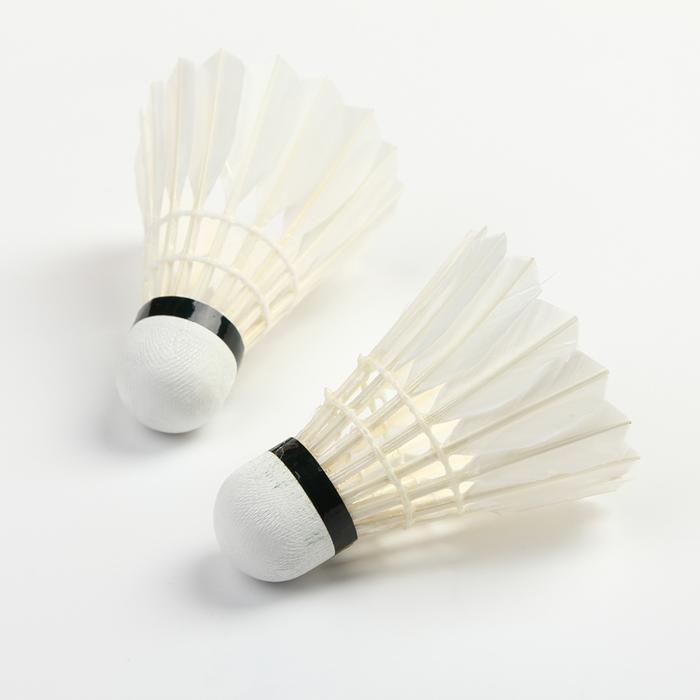 Hot style rely on rely on playing badminton factory direct sales Hot style rely on rely on playing badminton factory direct sales