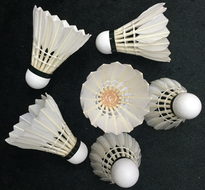 at the three badminton competition training in intermediate piece of coarse wool Teal training ball flight stability at the three badminton competition training in intermediate piece of coarse wool Teal training ball flight stability