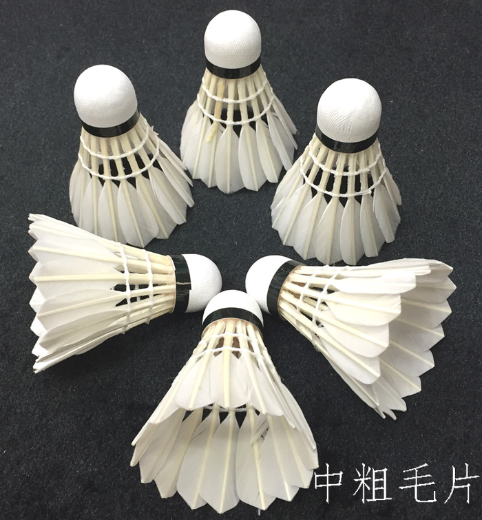 at the three badminton competition training in intermediate piece of coarse wool Teal training ball flight stability at the three badminton competition training in intermediate piece of coarse wool Teal training ball flight stability