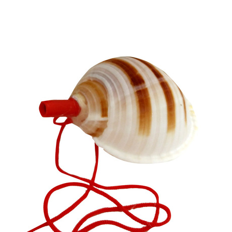 Children&#039;s Toy Whistle Shell Conch Crafts Whistle Stall Supply Creative Gift Children Whistle Wholesale