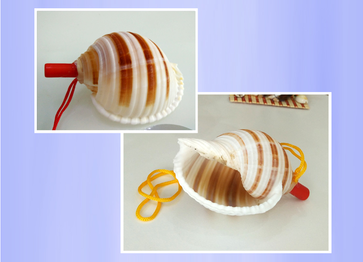 Children's Toy Whistle Shell Conch Crafts Whistle Stall Supply Creative Gift Children Whistle Wholesale