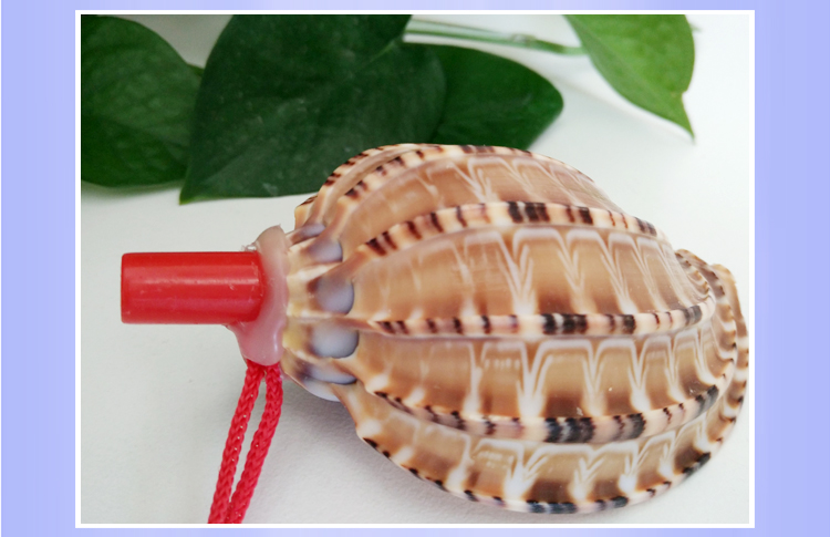 Children's Toy Whistle Shell Conch Crafts Whistle Stall Supply Creative Gift Children Whistle Wholesale
