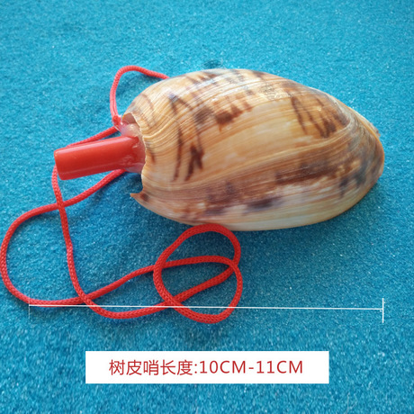 Children&#039;s Toy Whistle Shell Conch Crafts Whistle Stall Supply Creative Gift Children Whistle Wholesale