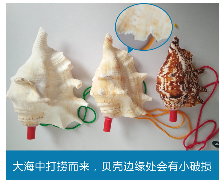 Children's Toy Whistle Shell Conch Crafts Whistle Stall Supply Creative Gift Children Whistle Wholesale