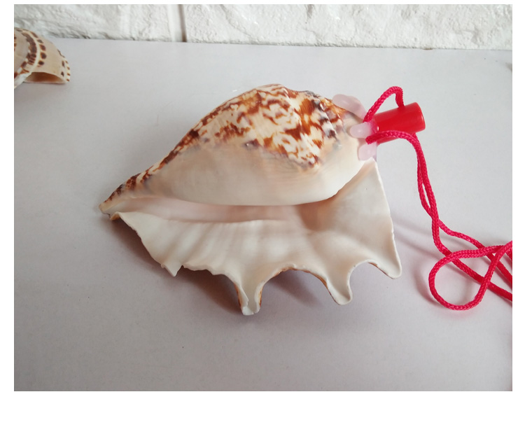 Children's Toy Whistle Shell Conch Crafts Whistle Stall Supply Creative Gift Children Whistle Wholesale