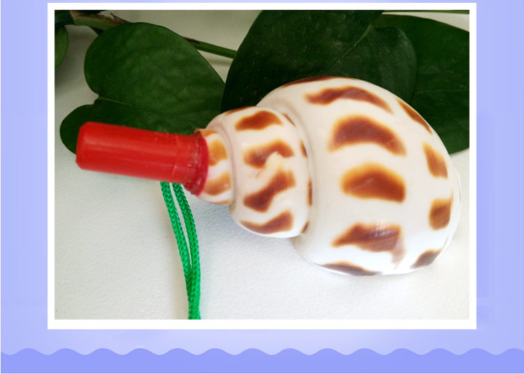 Children's Toy Whistle Shell Conch Crafts Whistle Stall Supply Creative Gift Children Whistle Wholesale