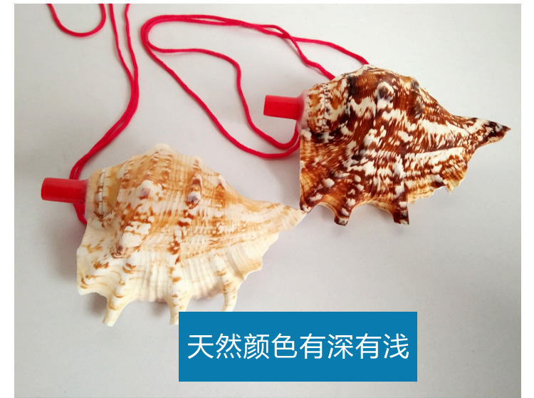Children's Toy Whistle Shell Conch Crafts Whistle Stall Supply Creative Gift Children Whistle Wholesale