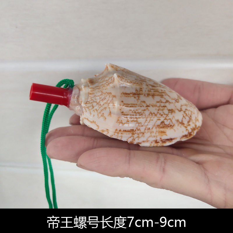 Children's Toy Whistle Shell Conch Crafts Whistle Stall Supply Creative Gift Children Whistle Wholesale