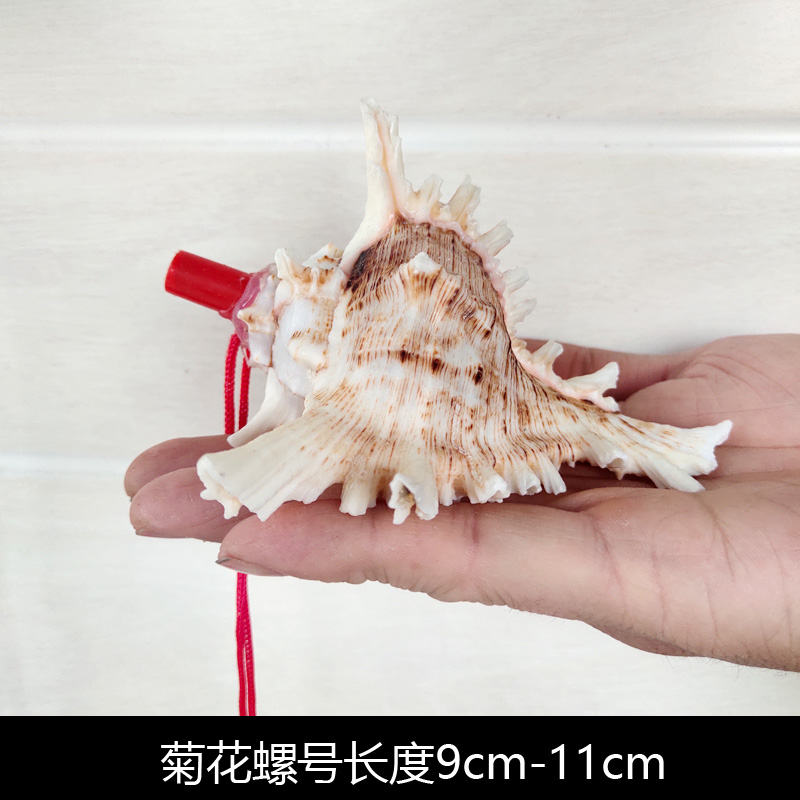 Children's Toy Whistle Shell Conch Crafts Whistle Stall Supply Creative Gift Children Whistle Wholesale