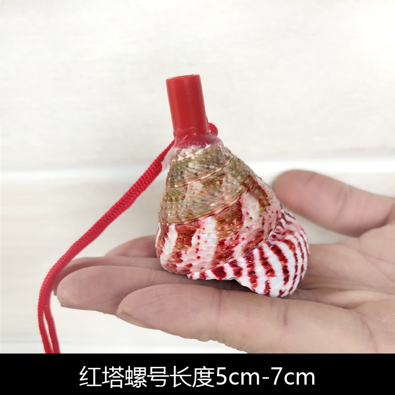 Children's Toy Whistle Shell Conch Crafts Whistle Stall Supply Creative Gift Children Whistle Wholesale