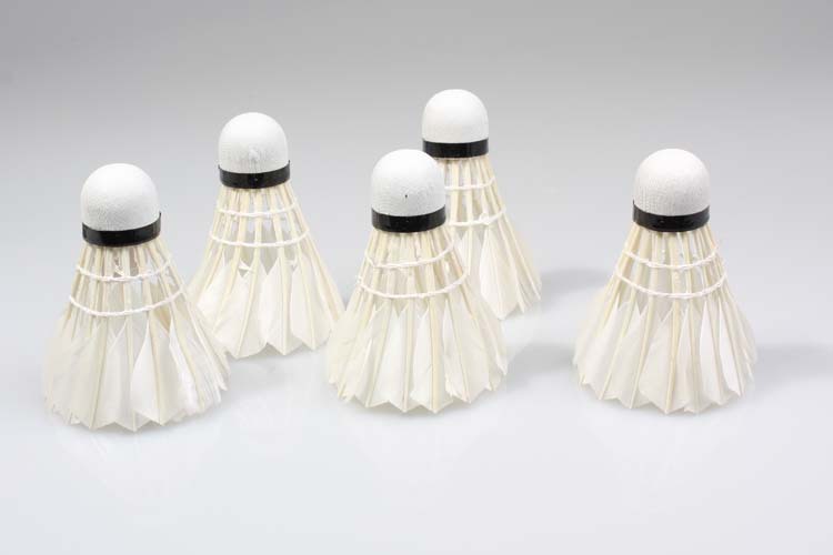 Duck curved hair badminton training with recycled wooden ball head 803-5 Duck curved hair badminton training with recycled wooden ball head 803-5