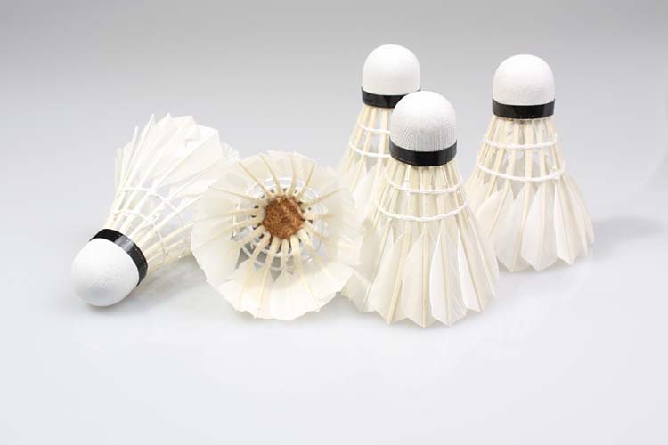 Duck curved hair badminton training with recycled wooden ball head 803-5 Duck curved hair badminton training with recycled wooden ball head 803-5