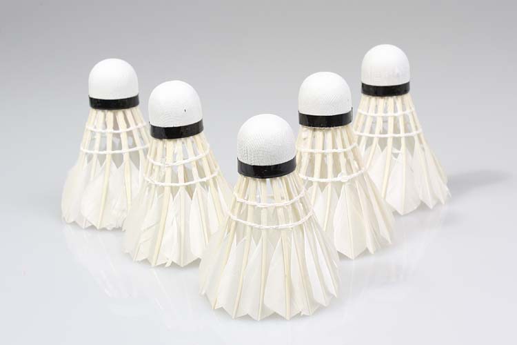 Duck curved hair badminton training with recycled wooden ball head 803-5 Duck curved hair badminton training with recycled wooden ball head 803-5