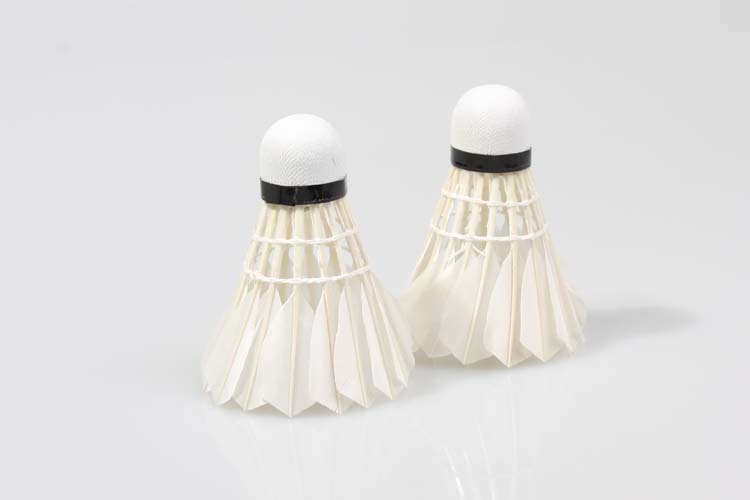 Duck curved hair badminton training with recycled wooden ball head 803-5 Duck curved hair badminton training with recycled wooden ball head 803-5